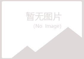 榆林山柳化学有限公司